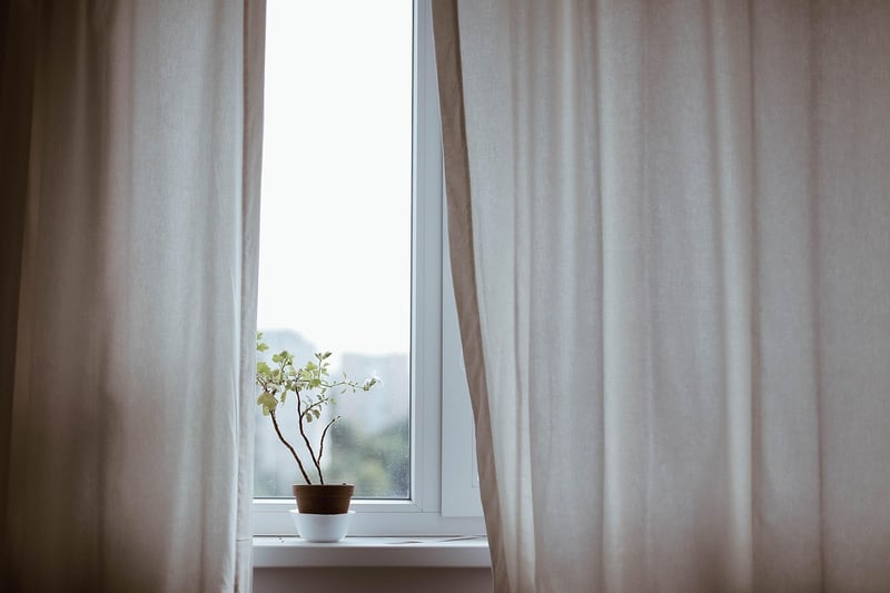 Indoor Planting