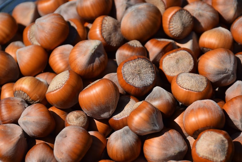 Seed Saving